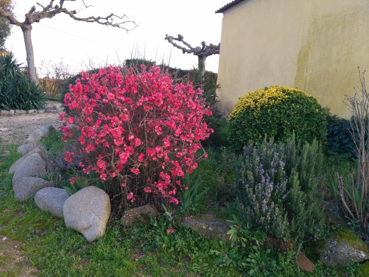 Casa Rural "Can Abres" Vilobi D'Onyar Girona Viloví de Oñar Exteriör bild