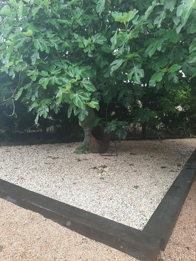 Casa Rural "Can Abres" Vilobi D'Onyar Girona Viloví de Oñar Exteriör bild
